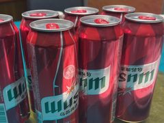 -巴依老爷新疆美食(望京小街店)