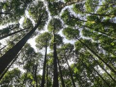 -山王坪喀斯特国家生态公园