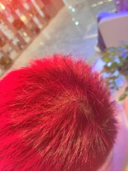 -碧莲盛·不剃发植发