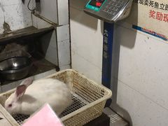 -东吴霸王兔(松青路店)