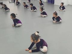 -西安小天鹅艺术团(金花路校区)