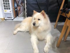 -肆兮眼镜·蔡司·徕卡战略合作店(大坪店)