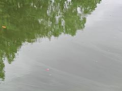 -狼山风景名胜区