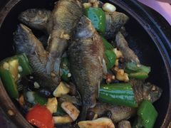 禾花鱼-山坑河鲜(昆仲楼店)