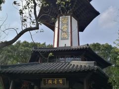 -上海佘山国家森林公园天马山园