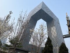 -中央广播电视总台(光华路办公区)