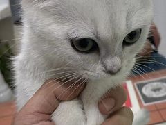 -子乐宠物医院