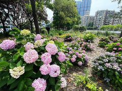 -北外滩滨江绿地