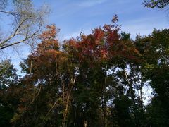 -长春市南湖公园