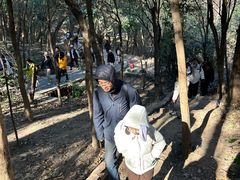 -紫金山山顶公园
