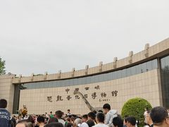 -中国西峡恐龙遗迹园