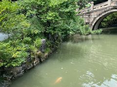 -上海醉白池公园