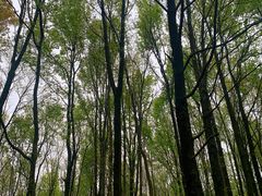 -青龙山国家森林公园