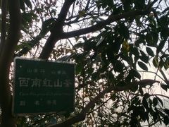 -山王坪喀斯特国家生态公园