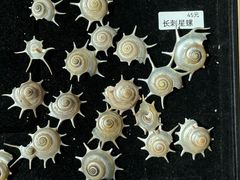-浙江自然博物院(杭州馆)