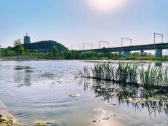 -永定河休闲森林公园