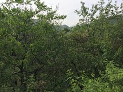 -北京周口店北京人遗址博物馆