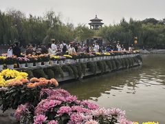 -中国翰园碑林