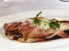 -福临饭店(维一店)