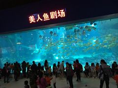 -福州罗源湾海洋世界旅游区