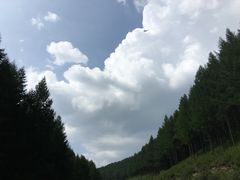 -塞罕坝国家级自然保护区