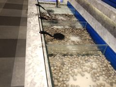 -火锅岛潮牌自助餐厅(天津天佑城店)