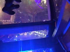 游乐设施-东方明珠广播电视塔
