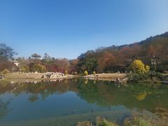 -楼外楼(西湖景区孤山路店)