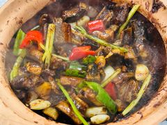 -天宝食坊·啫啫煲大排档(西华路店)