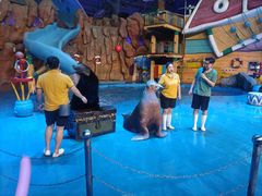 -烟台海昌鲸鲨海洋公园