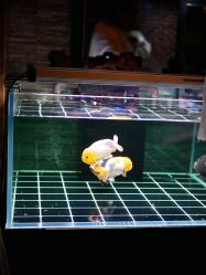 -青木造型HAIR·あおき髪を刈る潮人店