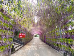 -山乡农家院(海淀区西北旺店)