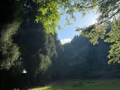 -武陵山森林公园