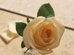 -麦当劳(浦珠路得来速店)