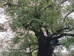 -白台寺