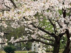 -江南大学(蠡湖校区)