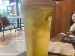 -Wagas沃歌斯(大学路店)