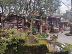 -青城甲(青城山店)