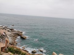 -广东惠东海龟国家级自然保护区