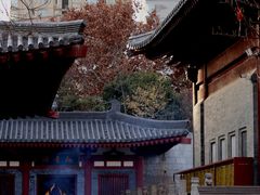 -西安大兴善寺