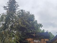 -西园戒幢律寺