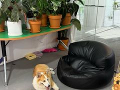 -LaFBagel手作烘焙工作室