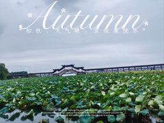 -锦溪古镇