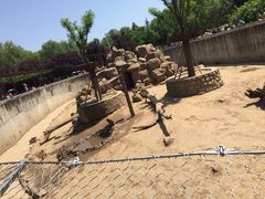 -西安秦岭野生动物园