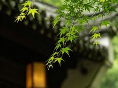-白鹿洞书院
