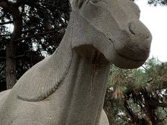 -沈阳市东陵公园