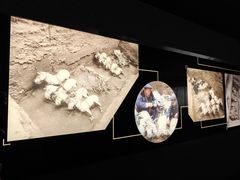 -秦始皇帝陵博物院-丽山园