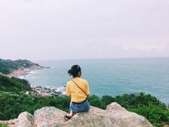 -广东惠东海龟国家级自然保护区
