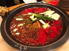 -黄潇洒老火锅(九眼桥宏济巷店)