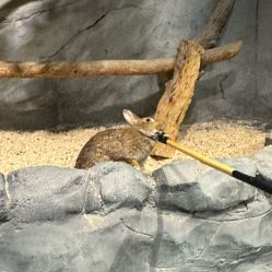 -Zoolung Zoolung动物主题公园(海信广场店)